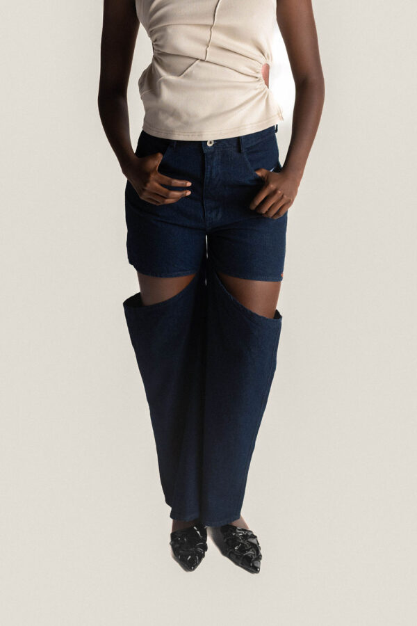 Alternative view of 1990 PANT