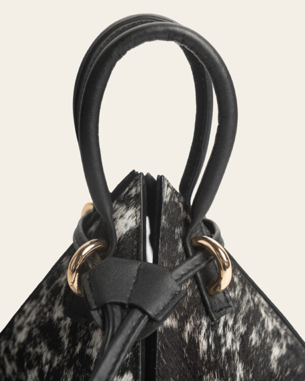 Alternative view of PACANDE